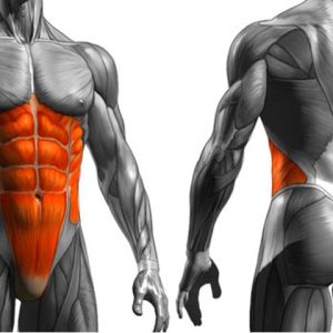Programa de Fortalecimiento del Core para Proteger la Zona Lumbar