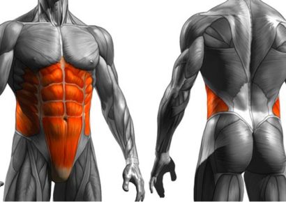 Programa de Fortalecimiento del Core para Proteger la Zona Lumbar