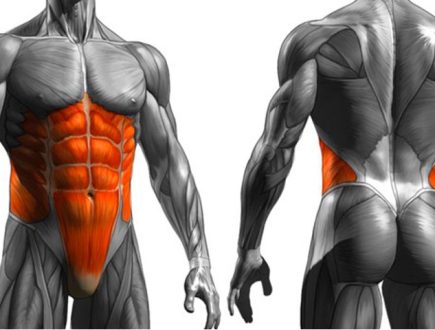 Programa de Fortalecimiento del Core para Proteger la Zona Lumbar