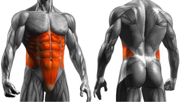 Programa de Fortalecimiento del Core para Proteger la Zona Lumbar