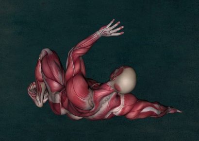 Fortalece tu musculatura
