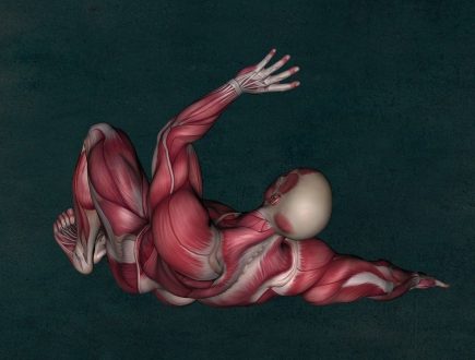 Fortalece tu musculatura